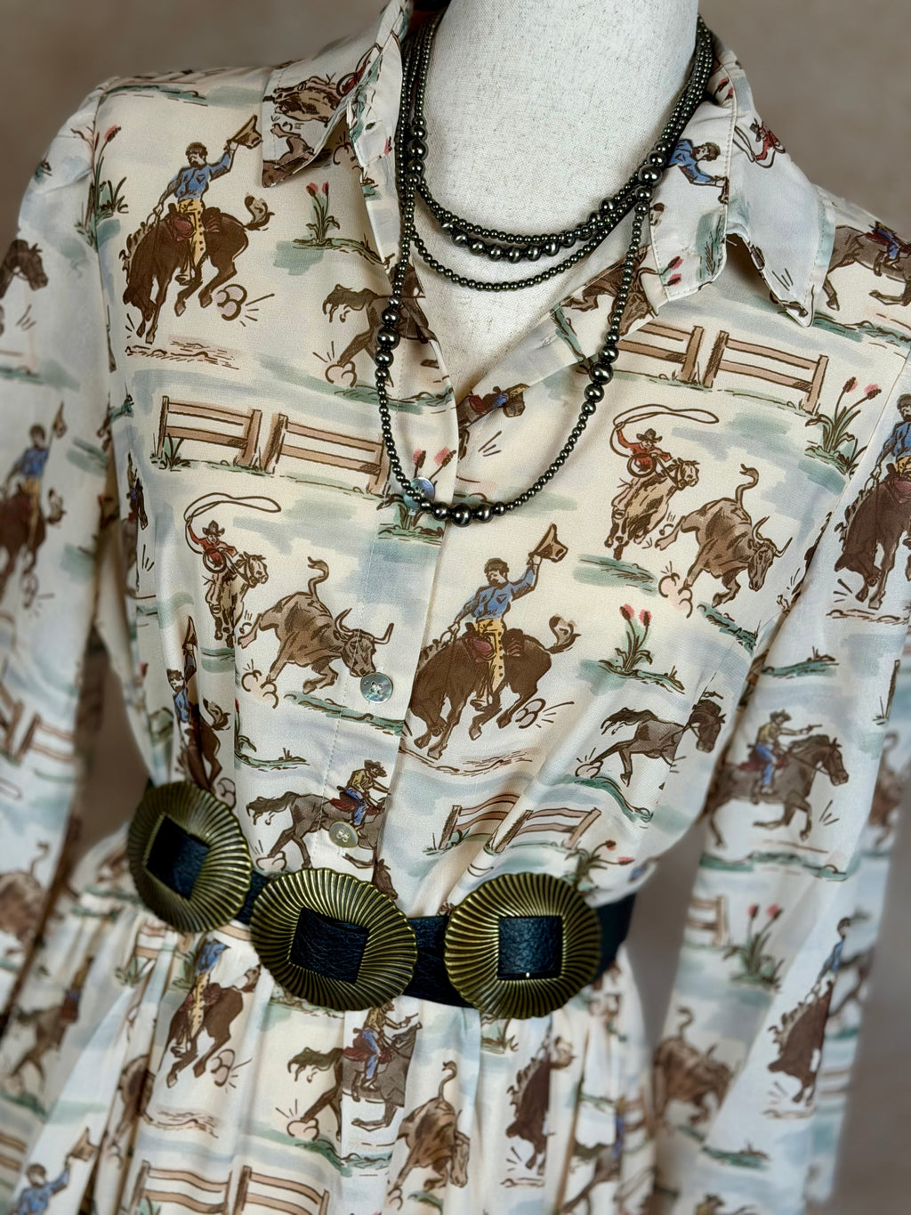 Ole West Cowboys Dress