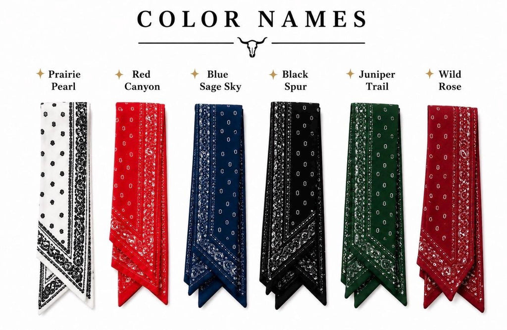 PRE ORDER | Western Paisley Twilly Scarf