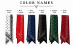 PRE ORDER | Western Paisley Twilly Scarf