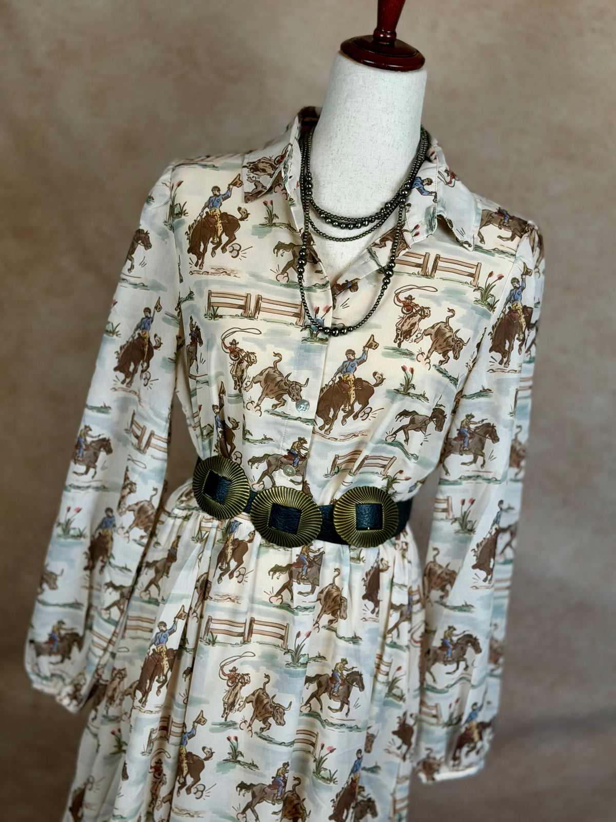 Ole West Cowboys Dress