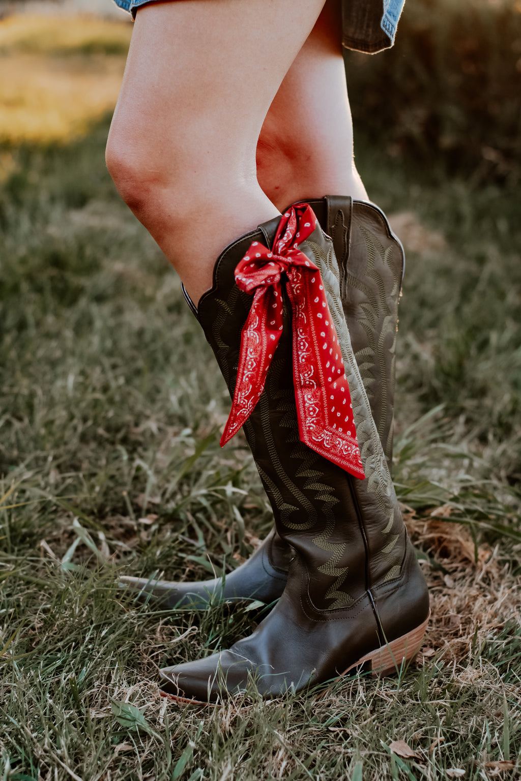 Western Paisley Twilly Scarf