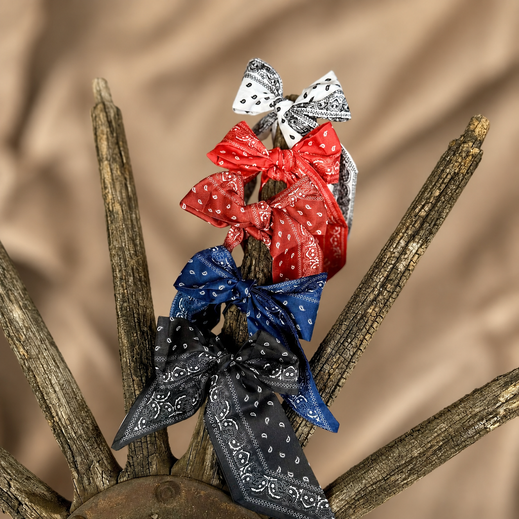 Western Paisley Twilly Scarf